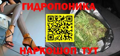 гидропоника Можга