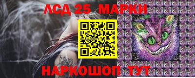 гидропоника Можга