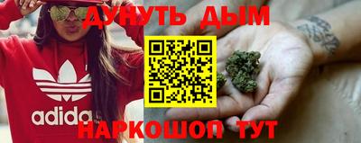 гидропоника Можга
