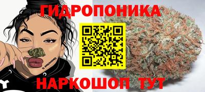 прущие грибы Моздок